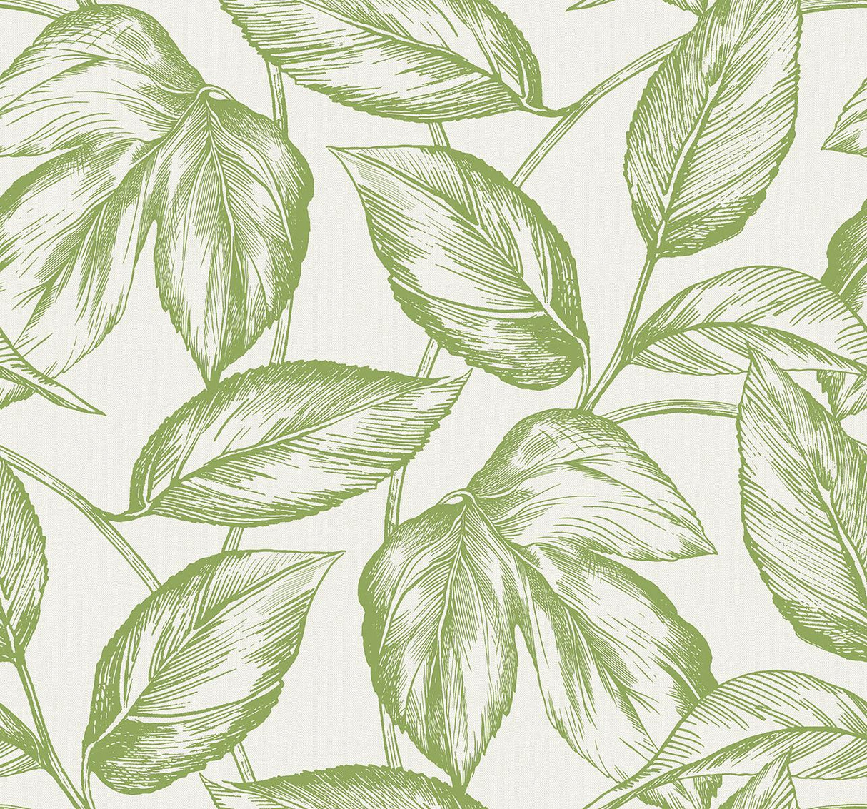 Seabrook Beckett Sketched Leaves Apple Green Wallpaper