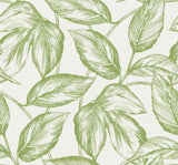 Seabrook Beckett Sketched Leaves Apple Green Wallpaper