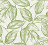 Seabrook Beckett Sketched Leaves Apple Green Wallpaper
