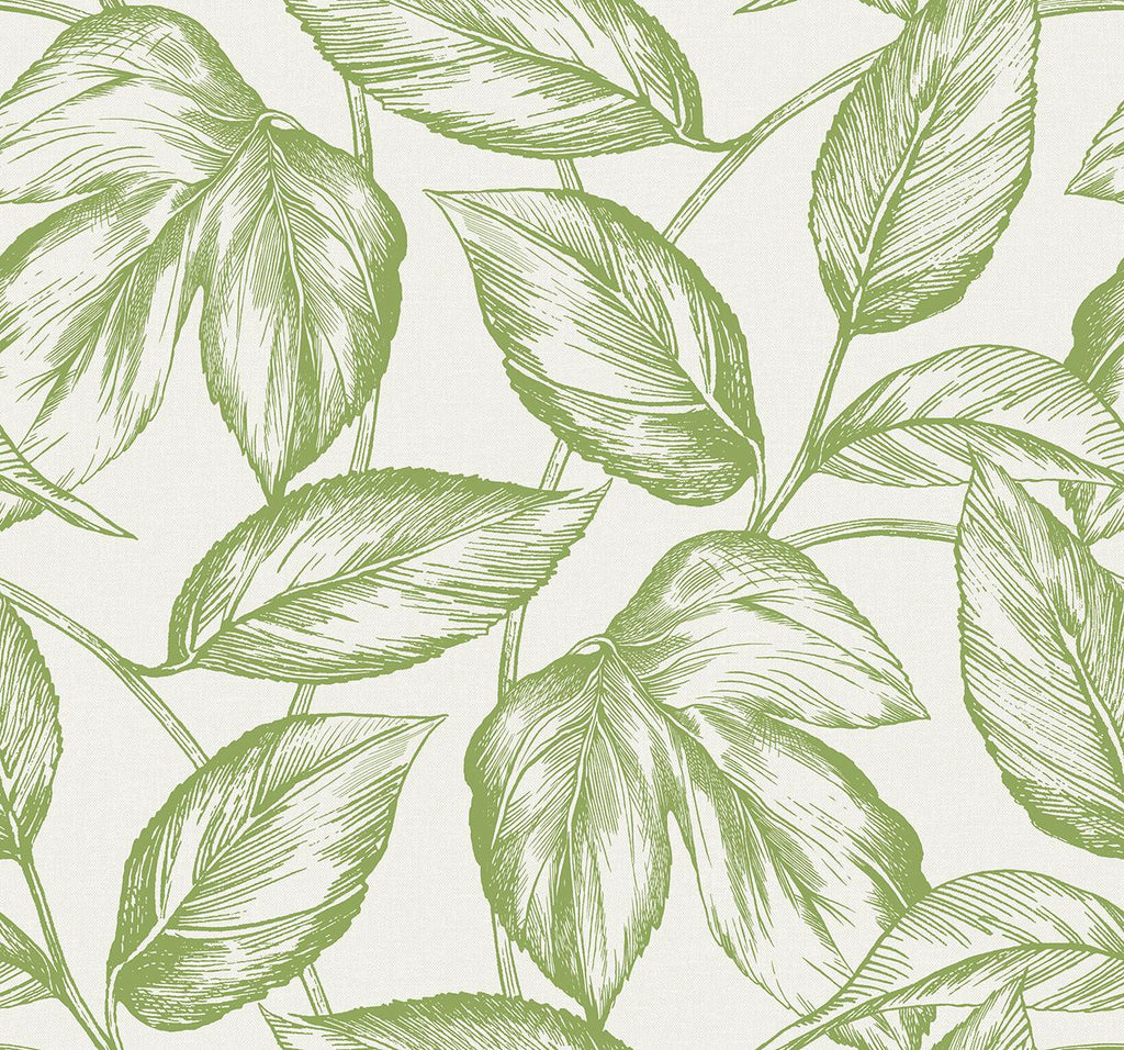 Seabrook Beckett Sketched Leaves Green Wallpaper