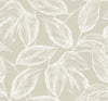 Seabrook Beckett Sketched Leaves Oat Wallpaper