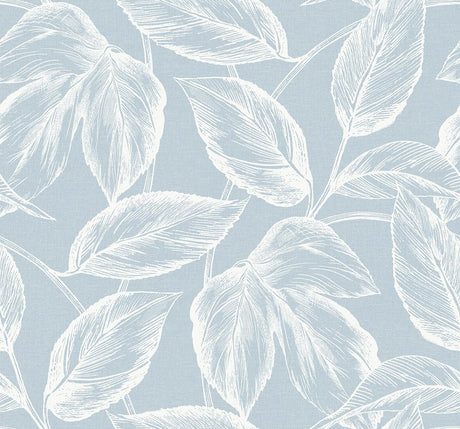Seabrook Beckett Sketched Leaves Baby Blue Wallpaper