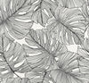 Seabrook Tarra Monstera Leaf Contrasto Wallpaper