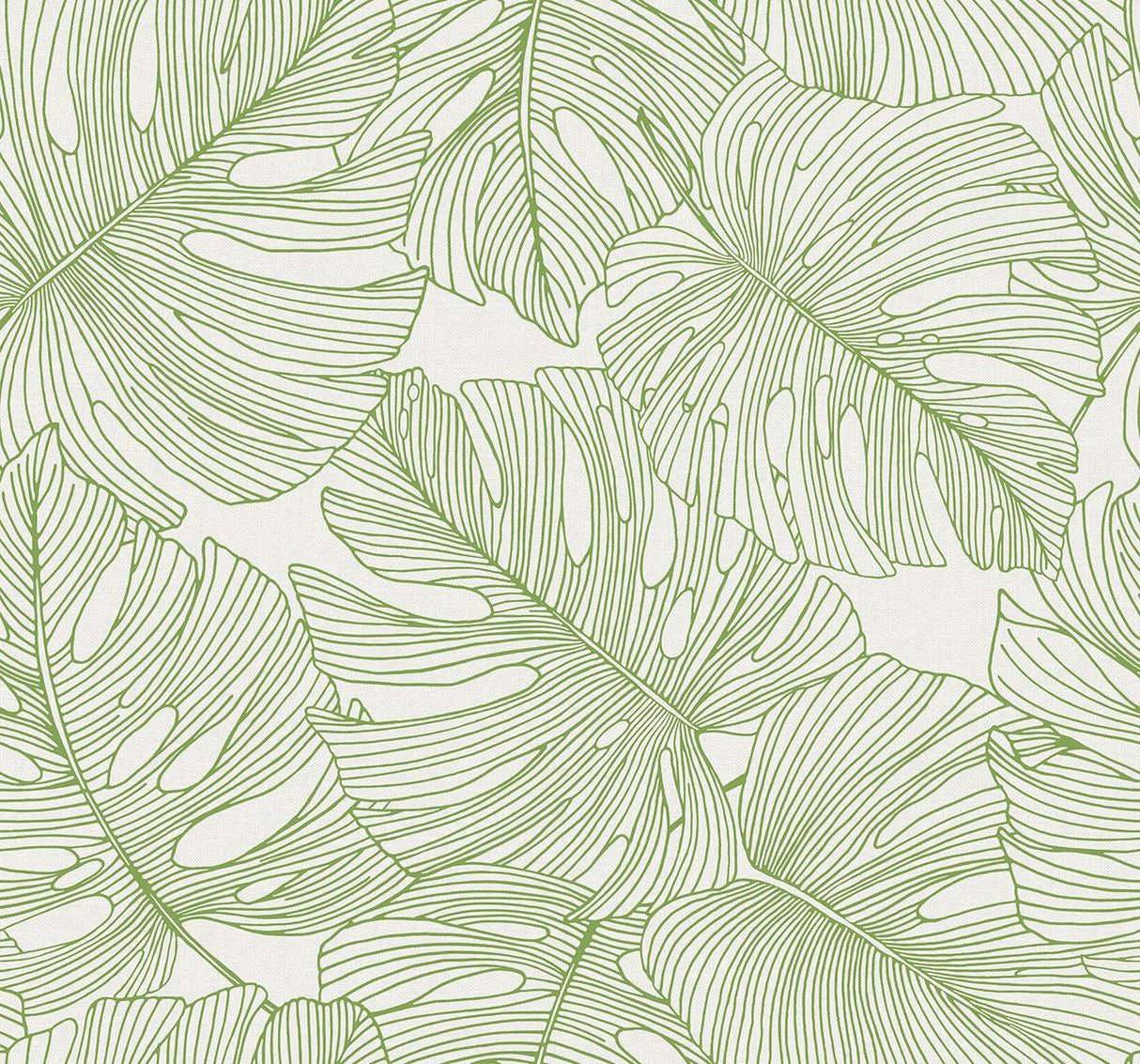 Seabrook Tarra Monstera Leaf Hill Green Wallpaper