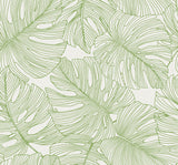 Seabrook Tarra Monstera Leaf Hill Green Wallpaper