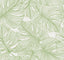 Seabrook Tarra Monstera Leaf Hill Green Wallpaper