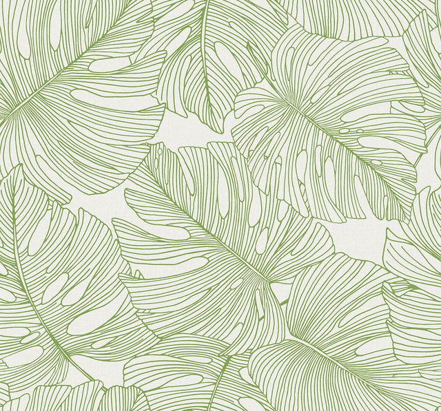 Seabrook Tarra Monstera Leaf Hill Green Wallpaper