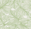 Seabrook Tarra Monstera Leaf Hill Green Wallpaper