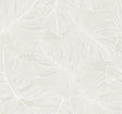 Seabrook Tarra Monstera Leaf White Sand Wallpaper
