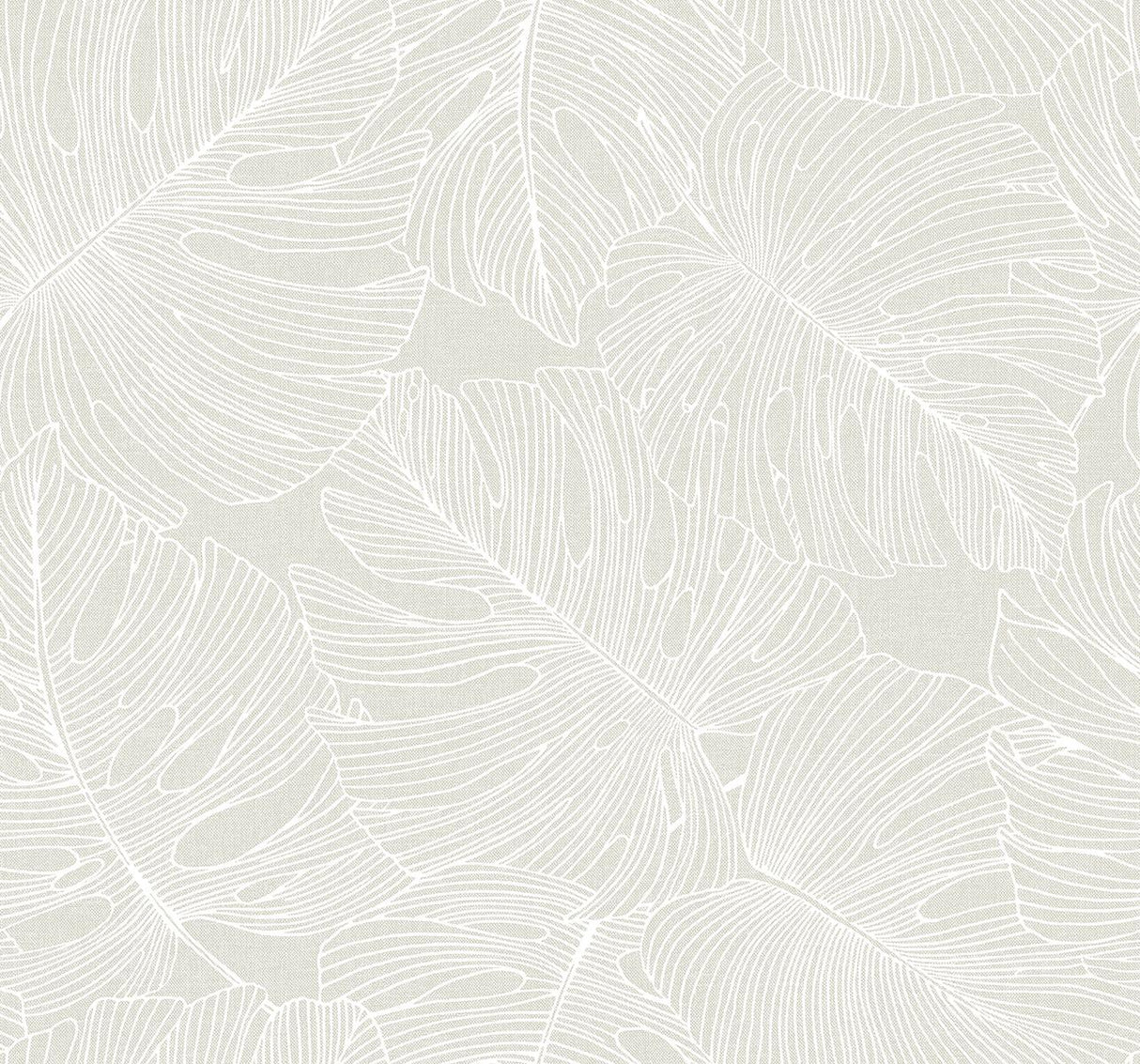 Seabrook Tarra Monstera Leaf White Sand Wallpaper
