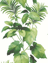 Seabrook Leaf Stripe Summer Fern Wallpaper