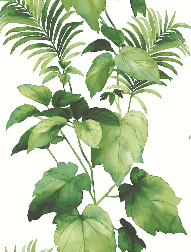 Seabrook Leaf Stripe Summer Fern Wallpaper