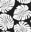 Seabrook Monstera Leaf Shadow Wallpaper