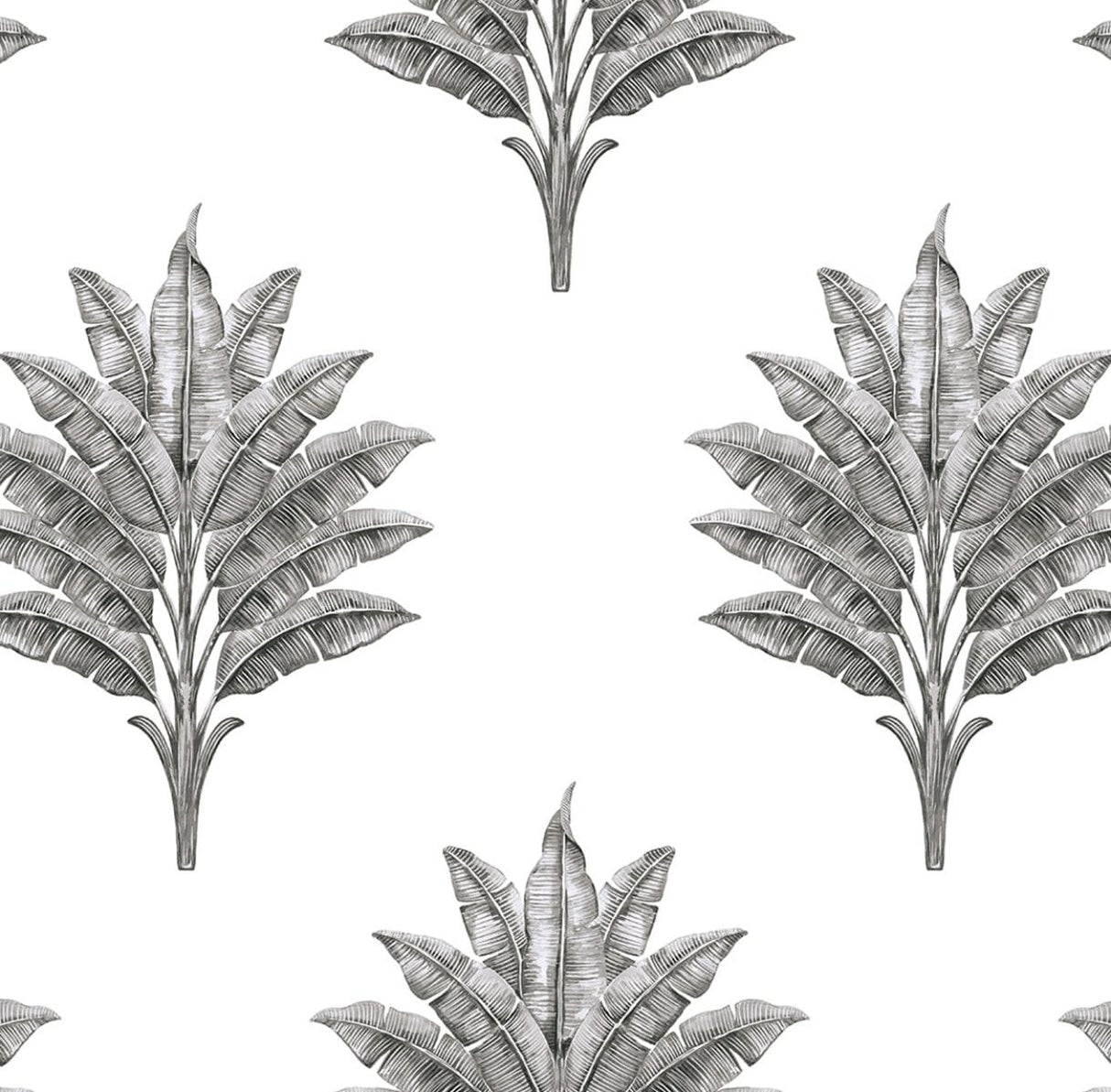 Seabrook Sea Breeze Palm Charcoal Wallpaper