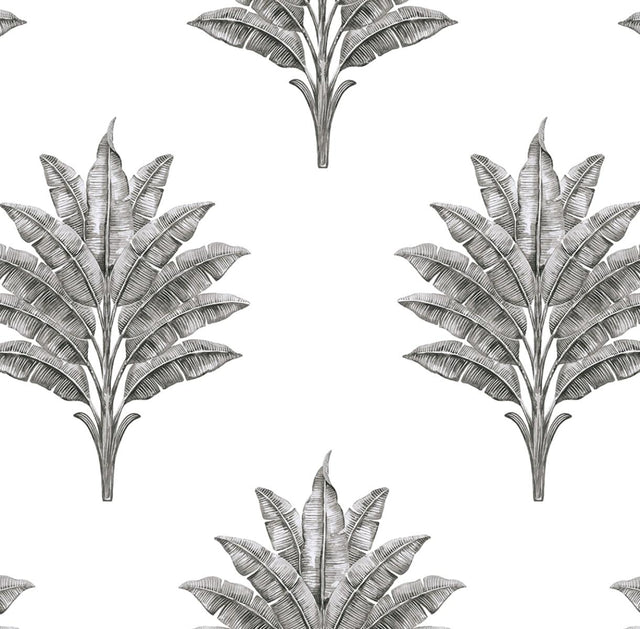 Seabrook Sea Breeze Palm Charcoal Wallpaper