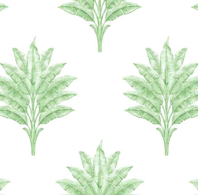 Seabrook Sea Breeze Palm Greenery Wallpaper