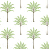 Seabrook Montgomery Palm Green Tea Wallpaper