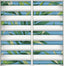 Seabrook Richwood Shutters Ciel Wallpaper