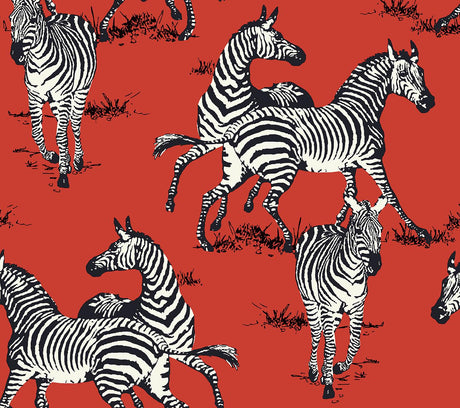 Seabrook Playful Zebras Red Wallpaper