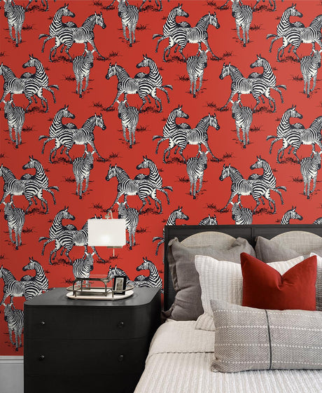 Seabrook Playful Zebras Red Wallpaper