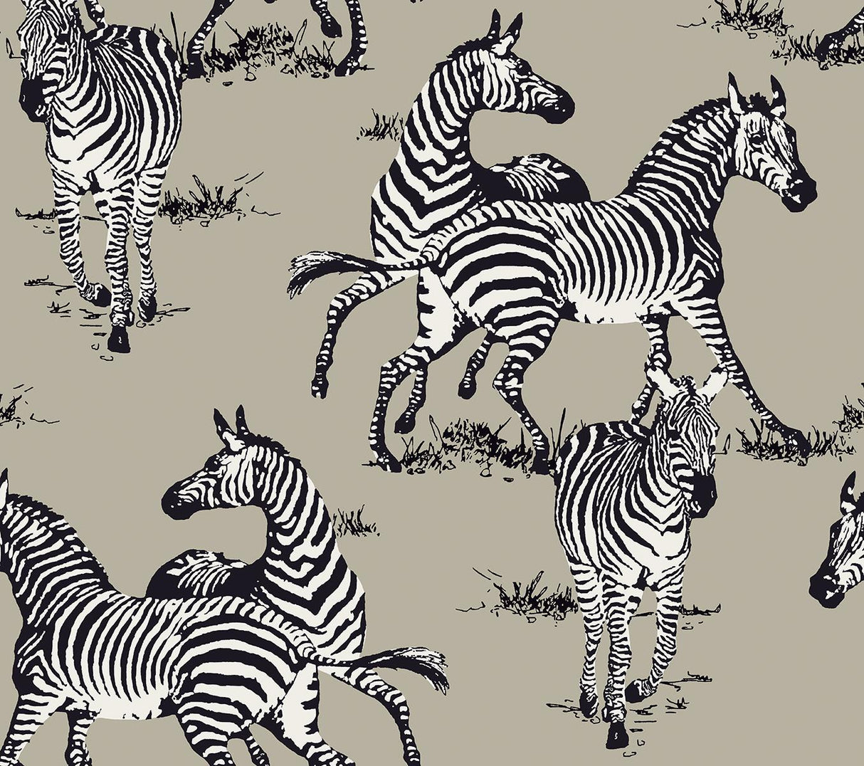Seabrook Playful Zebras Pavestone Wallpaper