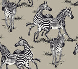 Seabrook Playful Zebras Pavestone Wallpaper