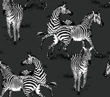 Seabrook Playful Zebras Charcoal Wallpaper