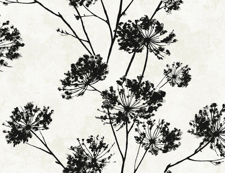 Seabrook Dandelion Floral Ebony Wallpaper