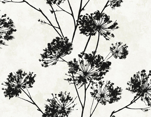Seabrook Dandelion Floral Ebony Wallpaper
