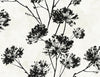 Seabrook Dandelion Floral Ebony Wallpaper