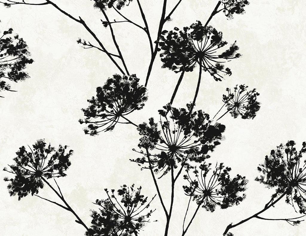 Seabrook Dandelion Floral Black Wallpaper