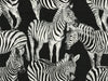 Seabrook Zebra Romance Contrasto Wallpaper
