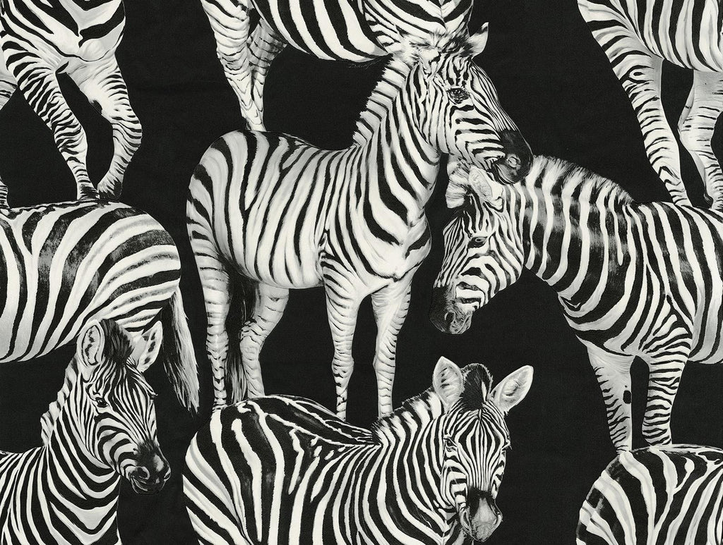 Seabrook Zebra Romance Blacks Wallpaper