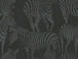 Seabrook Zebra Romance Misterioso Wallpaper
