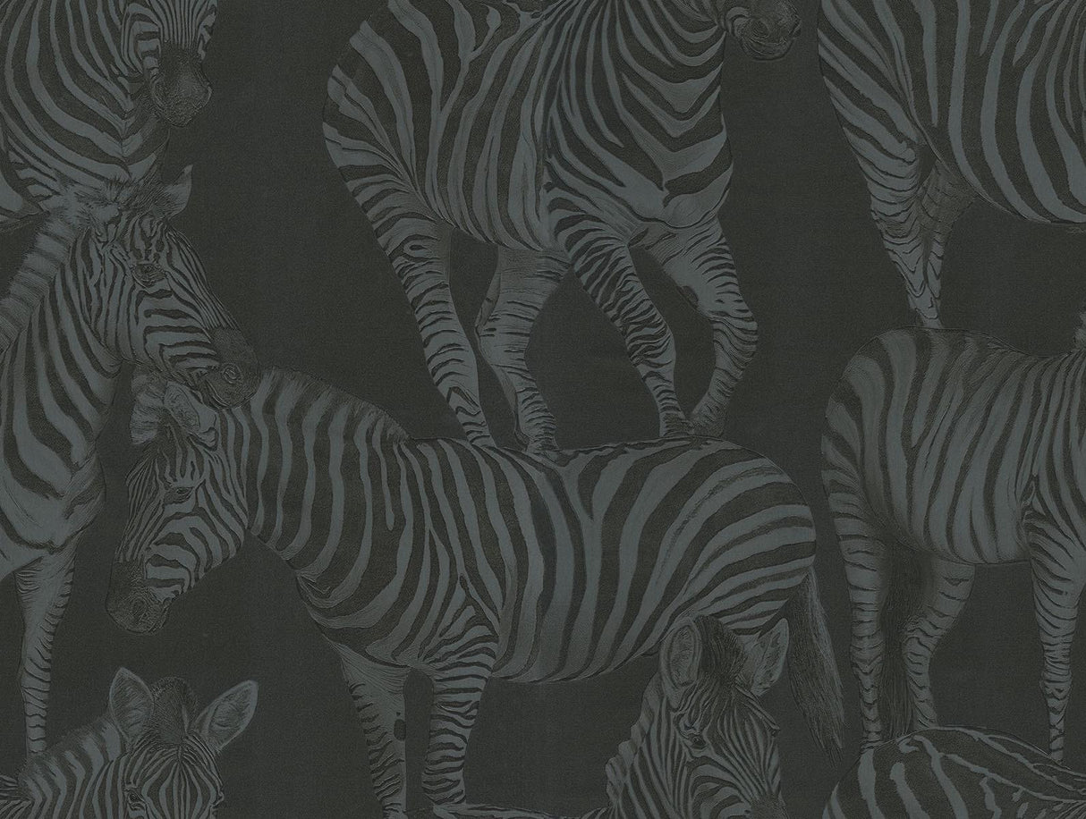 Seabrook Zebra Romance Misterioso Wallpaper