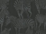 Seabrook Zebra Romance Misterioso Wallpaper