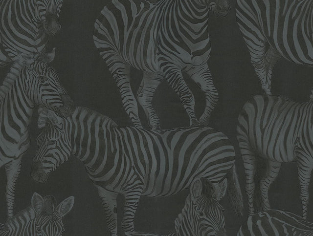 Seabrook Zebra Romance Misterioso Wallpaper