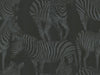 Seabrook Zebra Romance Misterioso Wallpaper