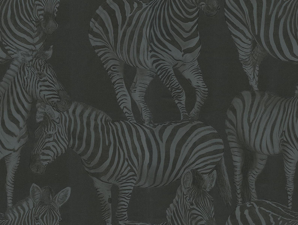 Seabrook Zebra Romance Blacks Wallpaper