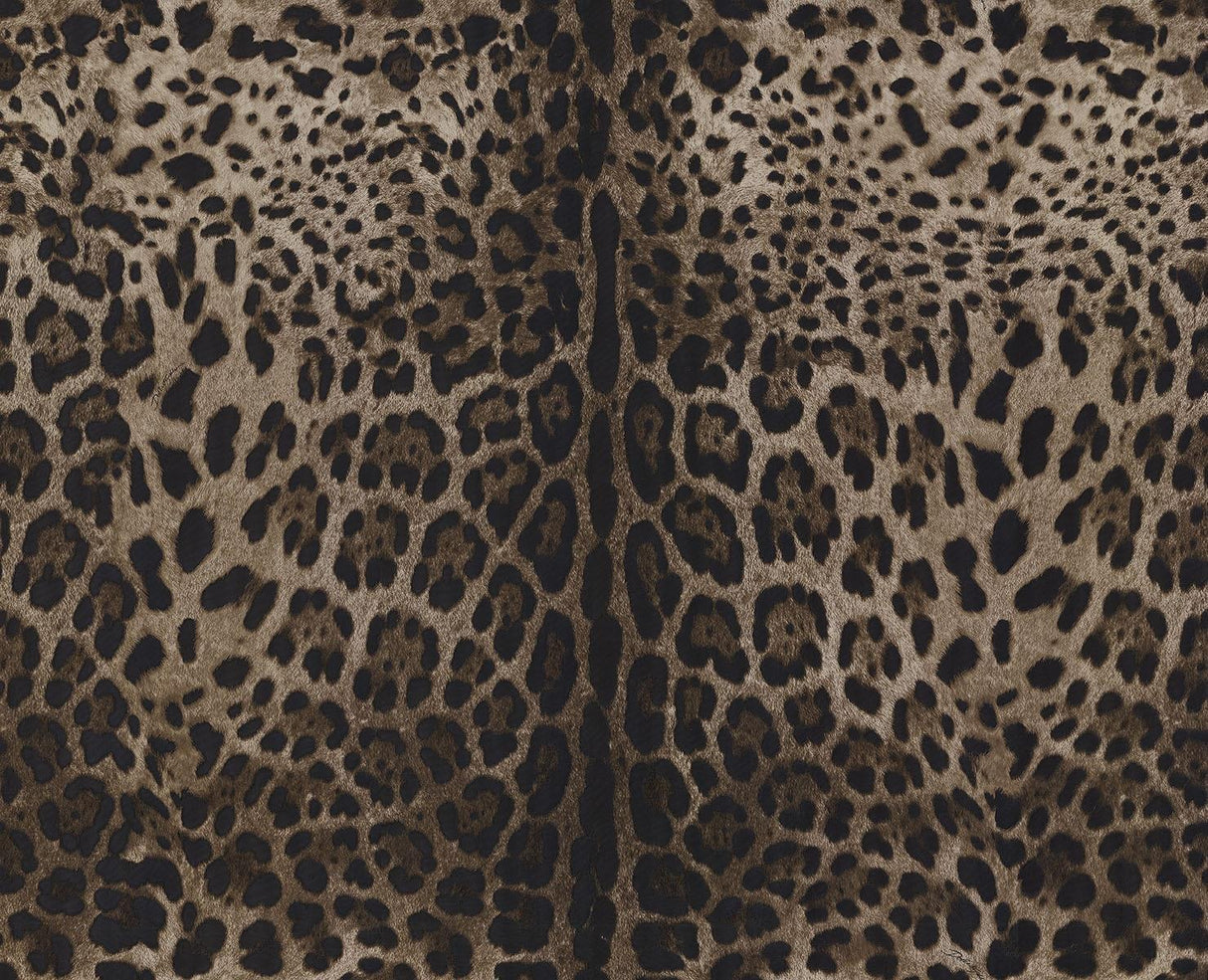 Seabrook Leopardo Dolce Caterina Wallpaper