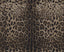 Seabrook Leopardo Dolce Caterina Wallpaper
