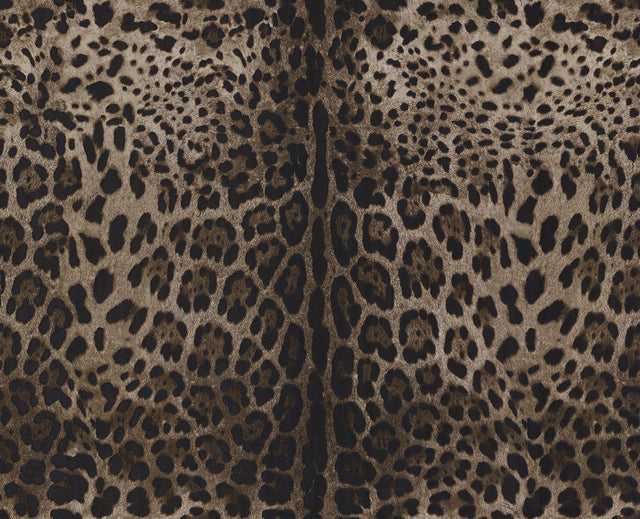Seabrook Leopardo Dolce Caterina Wallpaper