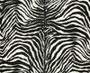 Seabrook Zebra Dolce Dante Wallpaper