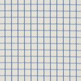 Schumacher Georgie Reversible Check Indigo Fabric