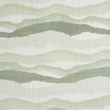 Schumacher Chandler Warp Print Eucalyptus Fabric