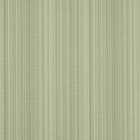 Schumacher Gracie Solid Stri Leaf Green Fabric