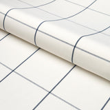 Schumacher Woodman Check Indigo Fabric