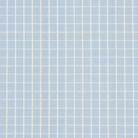 Schumacher Georgie Reversible Check China Blue Fabric