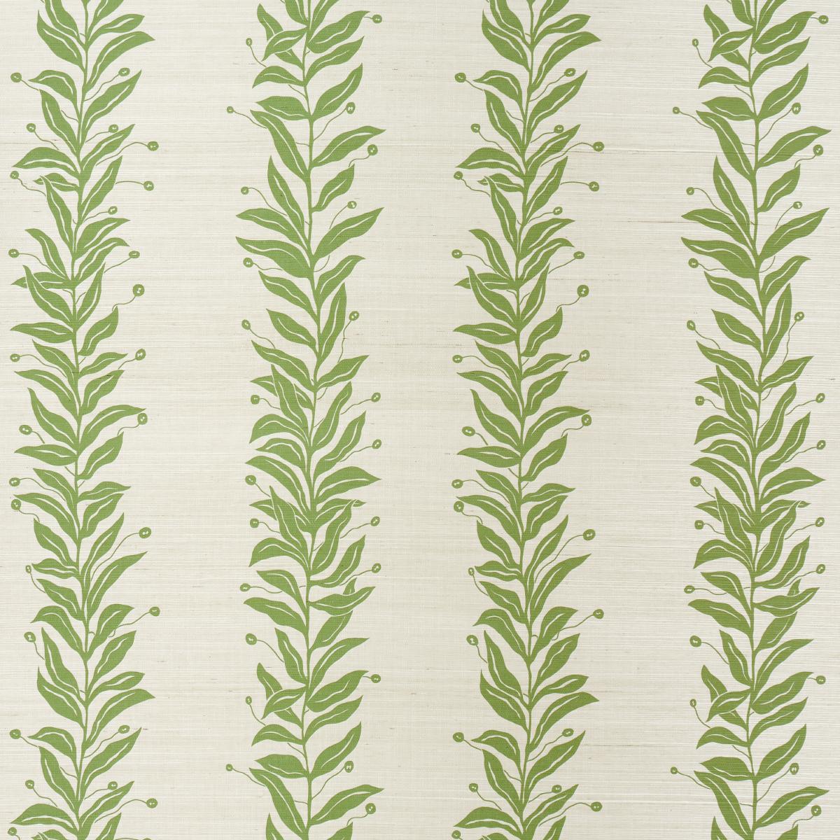 Schumacher Tendril Stripe Sisal Olive Wallpaper