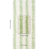 Schumacher Tendril Stripe Sisal Olive Wallpaper
